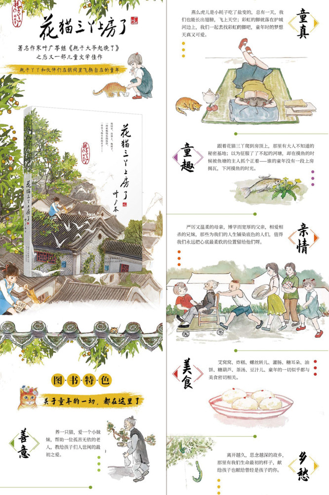 花猫三丫上房了